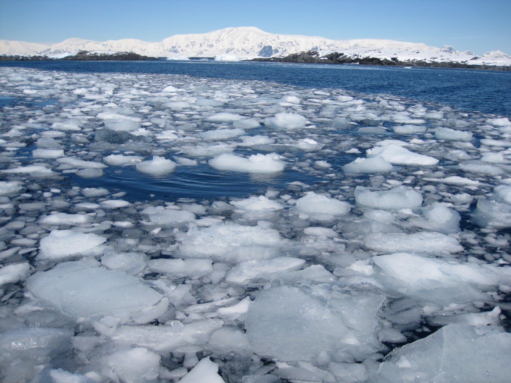 How Sea Ice Forms  Antarctica Journal