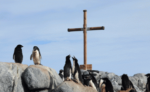 Adelie penguins gather at the base of a memorial at Mawson's Hut in Commonwealth Bay, Antarctica, Jan. 16. The pope's upcoming encyclical on climate and ecology will be published June 18. (CNS photo/Dean Lewins, EPA) 