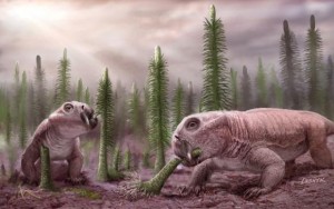 Ancient Ecosystem Response To Mass Extinction