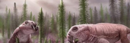 Ancient Ecosystem Response To Mass Extinction