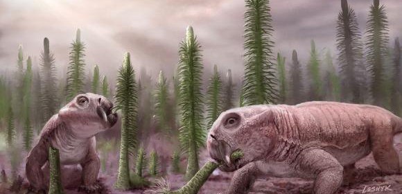 Ancient Ecosystem Response To Mass Extinction