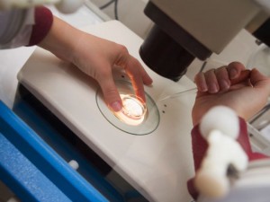 Gene editing