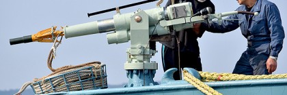 Antarctic whale hunt