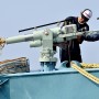Antarctic whale hunt