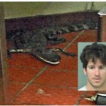 Man charged with throwing alligator into fast food restaurant