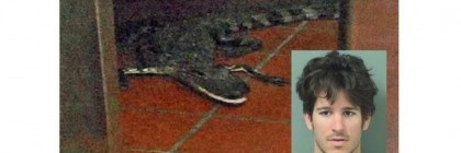 throwing alligator into fast food restaurant