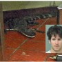 throwing alligator into fast food restaurant