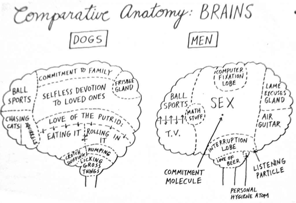 Cartoon Comparing mens brains to dogs
