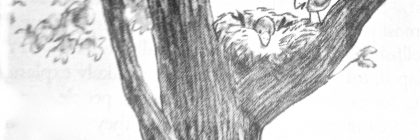 Illustration of a tree with a bird's nest and two birds, one perched on a branch and one in the nest.