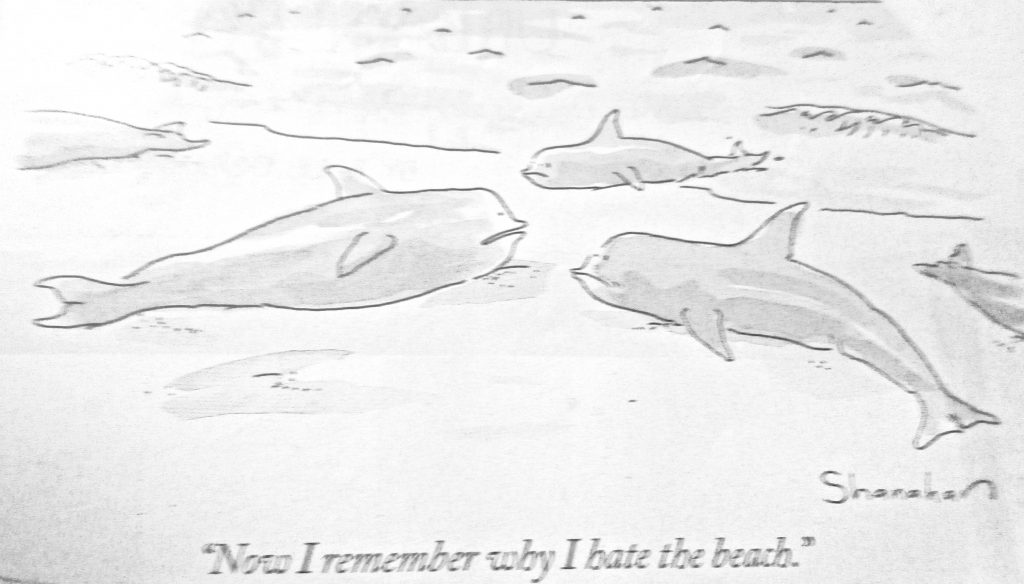 Cartoon Now I Remember Why I Hate The Beach