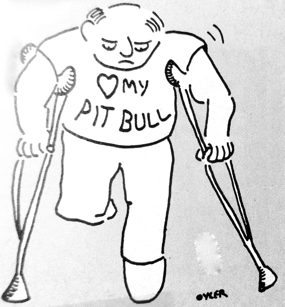 Cartoon O My Pit Bull