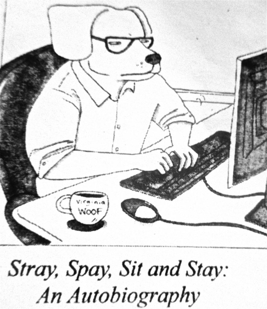 Cartoon Stray Spay Sit And Stay An Auto Biography