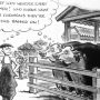 Cartoon depicting cows at a fair with a person expressing concern about their appearance and chemicals used.