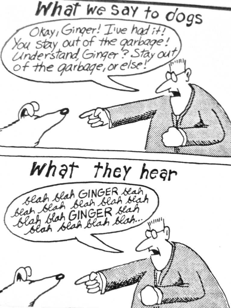 Cartoon What We Say To Dog What They Hear