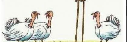 Thanksgiving Cartoon - Turkey Flamingo