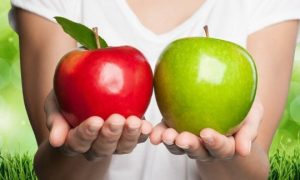 food lost to waste