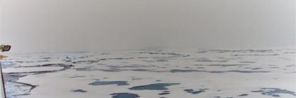 melting sea ice