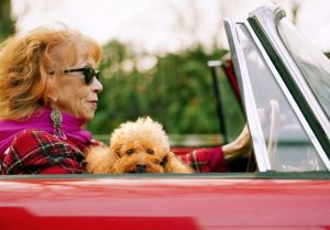 Do People With Pets Live Longer