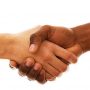 Do You Have a Powerful Handshake?
