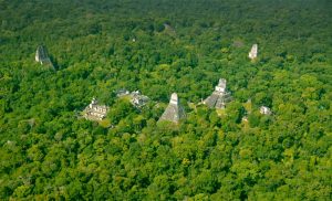 MAYAN STRUCTURES FOUND IN GUATEMALA