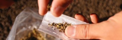 Marijuana Cracks Colombia Bazuco Addiction