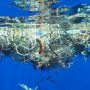 The World's Oceans are full of Plastic Trash