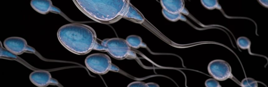 Why Is Male Fertility Declining