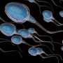 Why Is Male Fertility Declining