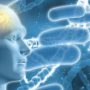 Do Infections Prevent or Treat Alzheimer's?