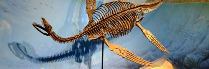 Fossil of ‘real-life Loch Ness Monster’ found in Antarctica