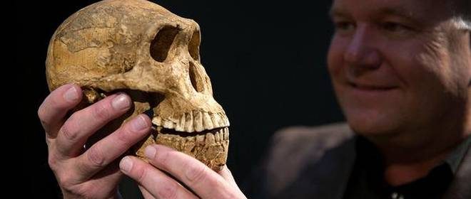 Homo Naledi – Distant Relative?