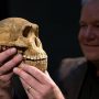 Homo Naledi – Distant Relative?