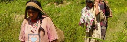 The World’s Healthiest Hearts