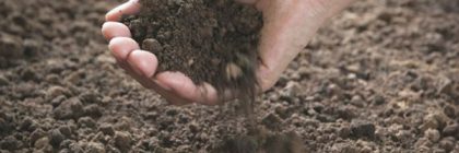 Irish Healing Soil