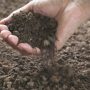 Irish Healing Soil