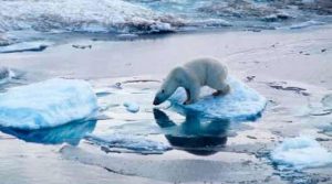 Global Warming: Arctic and Antarctica