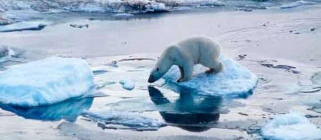 Global Warming: Arctic and Antarctica