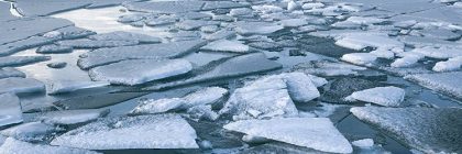 Greenland’s Ice Sheet Is Melting