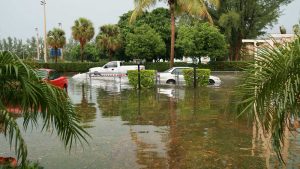 US Cities are at Risk for Coastal Flooding