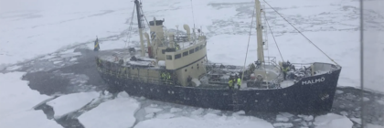 Research vessel named Malho navigating through ice-covered waters with crew members on board.