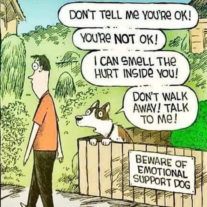 Beware of Emotional Support Dog