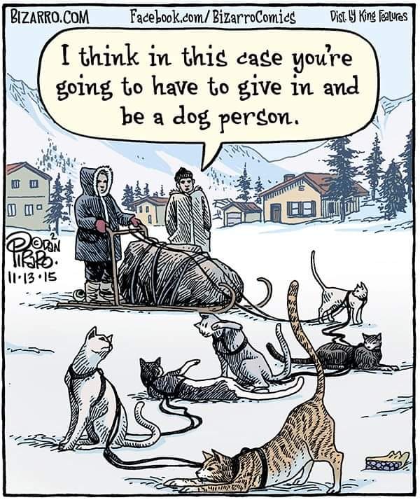 Reality check for cat people