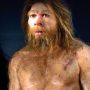 A lifelike reconstruction of a Neanderthal man with long hair and a muscular build.