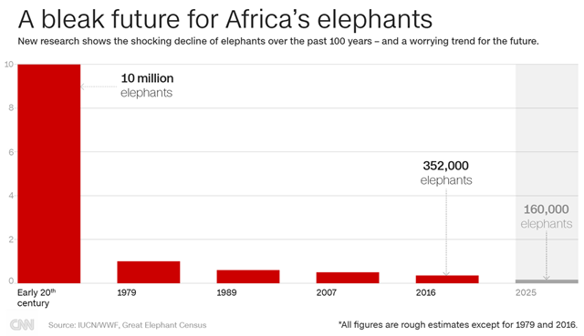 African Elephants Declining in Numbers Census