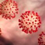 Antarctica Journal Q&A: Similarities and differences – COVID-19 and influenza
